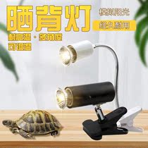 Turtle sun back lamp climbing pet uvbuva full spectrum sun lamp heating heating heat insulation lamp calcium supplement sterilization three in one