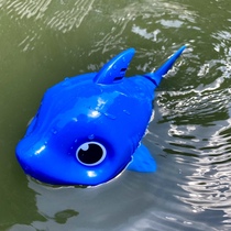 Positive foreign trade simulation electric small fish cute shark children bathing water bath music educational toys