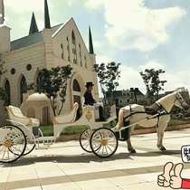 Wedding Princess European style wrought wrought carriage Royal scenic spot wedding photography hotel pick-up electric