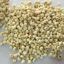 Small Sichuan Bepping Fritillaria cirrhosa Fritillaria Tip Bay Pine Bay Powder Chinese Herbal Medicine Wholesale 500g grams RMB160