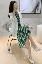Sandro Selen high-end acetic acid suit jacket 21 spring and autumn small suit Print Suspender skirt two-piece women