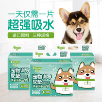 New Cocoyo dog golden hair teddy dog urine pad training function diaper 100 tablets 50 water absorption