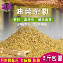 1kg of pollen feed bee rape Miscellaneous pollen bee grain wholesale feeding beekeeping bee pollen beekeeping Italian bee feeding 5kg