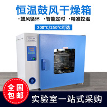 Shanghai Yiheng DHG-9030A 9015A electrothermal constant temperature blast drying oven laboratory oven industrial oven