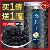 Mulberry dried black mulberry tea traditional Chinese medicine Super no-wash bulk Xinjiang wild 500g natural flagship store official male