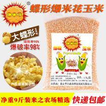 Popping rice ball 9kg butterfly popcorn corn popcorn corn fried corn big flower corn grain