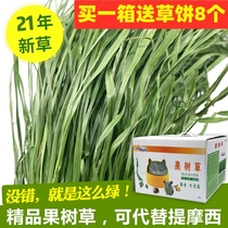   21-year-old Hurda high-quality baked fruit tree grass can replace Timothy grass Rabbit Totoro hay 1kg
