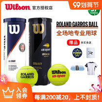 Wilson Wilson Willy wins Roland Garros French Open joint tennis full field US net game professional ball