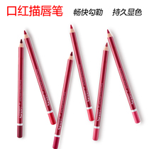 Lip line Pen female hook lip Pen Waterproof Long-lasting Flamingo drawing lip pen lipstick brush beginner mouth pen