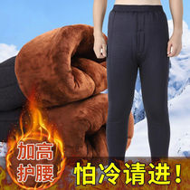 Winter thickened caveat caveat cotton pants male daddy dress up and fatter high waist warm pants old man tightness waist cotton pants