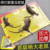 Mouse Glue Powerful Stick Rat Board Super Strong Stick Mouse Glue Killing Rat Squirrel Mucus Glue Catfish Stickup Rats Glued To Rats
