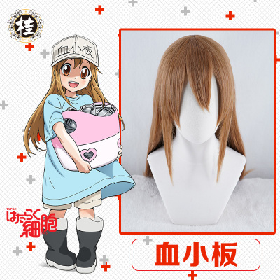 Corazon Cosplay One Piece Costumes Wigs Shoes