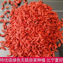 Northwest Lin Grandma Gansu Jingyuan Wolfberry Excellent Ningxia Safety Sulfur Free 500g