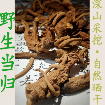 Wild Angelica 250g Yunnan natural tonic sun-dried sulfur-free with Astragalus codonopsis soaked in water soup can be sliced