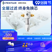 Pentair Hantel front filter household tap water whole house large flow positive backwash water purifier