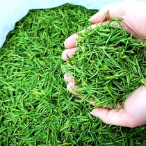 Anji white tea new tea factory summer special premium alpine green tea pollution-free Mingqian head spring tea leaves 500g