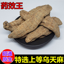Gastrodia wild special grade gastroma dry goods 500g Yunnan Zhaotong natural fresh sliced ground black Tianma powder