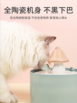 Cat Drinking Fountain Garfield Cat Drinking Cat Fountain Bowl Pet Drinker Automatic Circulation Non-Wet Mouth