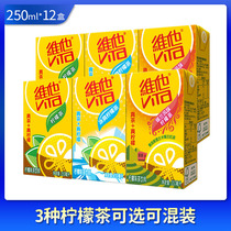 Vita Vita Lemon Tea Multi-flavor Tea 250ml*12 boxes Ceylon lemon Tea Ice lemon tea combination package