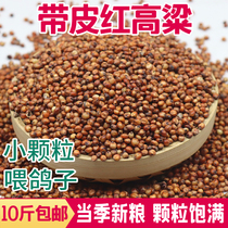 10kg red sorghum to feed the pigeons food stripped of its skin the poo and EE seed bird pigeon guan shang ge pigeon young birds into ge liang feed