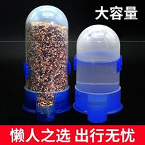 Pigeon drinker automatic water feeding kettle pigeon supplies parrot feeder bird food box trough pigeons