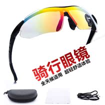 Spring mirror leg shading anti-ultraviolet adult day and night dual-purpose bicycle mountain bike dust mirror anti-fog goggles
