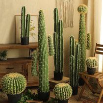 Simulation cactus fairy column Large plant potted indoor green plant window decoration landscaping sky ruler cactus