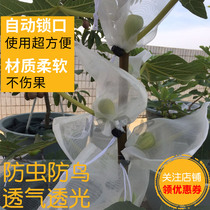 Guitianlu peach Loquat grape bag Dragon fruit fig pear bag bagging Bird and insect protection special fruit net bag