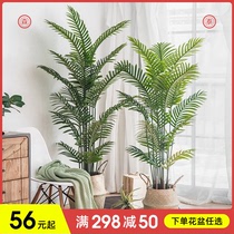 Simulation phoenix sunflower Scattered tail sunflower Nordic style decoration living room floor-to-ceiling large potted indoor bonsai ornaments fake green plants