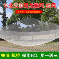 Nylon Fish Nets Lift Nets Zither Nets Pull Nets Clear Pond Fish Fish Without Injury Fry Net Cage Trawl Nets Nets Nets Nets Nets Nets Nets Nets