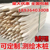 Surveying and mapping wooden stakes surveying wooden stakes lofting fixed-point piles surveying and mapping signs surveying signs boundary piles surveying small wooden piles