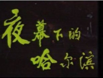 DVD machine version Harbin under nightfall] Lin Yuanxin Xing Long 13 sets 2 discs