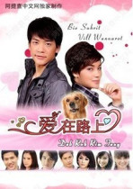 DVD machine version Thailand Love on the journey Love on the road] Mandarin Chinese characters all 30 episodes 2