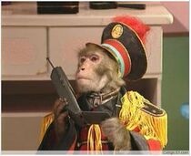 DVD machine version Monkey Detective Long And Grand Theft] (Animal Kingdom Theft Monkey Detective Probe) full episode 1 disc