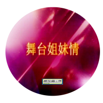 Yue Opera Stage Sisters Love 1DVD Huayi Qing Wang Junan Shan Yangping Qian Huili Wang Wenjuan Xu Yulan Lu Ruiying