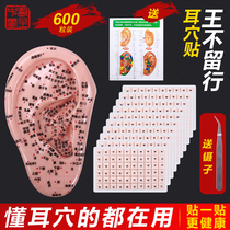 Ear point patch King does not let go Seed ear point pressure pill patch Hypoallergenic myopia Ear bean pressure point massage acupressure patch