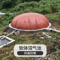Digester tank Full set of equipment Water sac sewage tank gas storage tank Water storage tank Pressure storage tank Environmental protection outdoor corrosion resistance