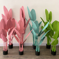 Pink traveler banana plantain tree spray color wedding decoration scene layout ins simulation plant bonsai indoor ornaments