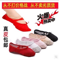 Soft-soled dance shoes adult children dance shoes cat claw shoes exercise shoes ballet shoes gymnastics shoes