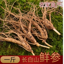  Changbai Mountain fresh ginseng 500g A catty 15-20 adult ginseng is now dug and sold with soil fresh ginseng 6 years root