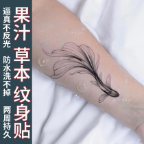 Herbal tattoo sticker small goldfish arm juice plant female male semi-permanent non-reflective wash waterproof lasting