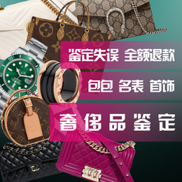 Luxury bag identification genuine and fake luggage jewelry clothes sneakers belt scarf ancient watch identification