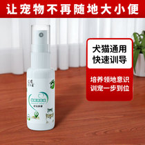 Wang kitten dog toilet inducer cat urine stool positioning defecation training Toilet Liquid pet shit catheterization artifact