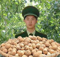 2020 Xinjiang 185 paper-skinned walnuts thin skin 5 kg of 2500g new thin shell fresh bulk first-class walnuts