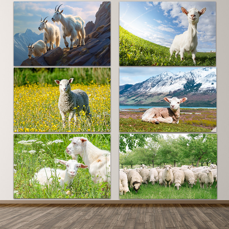 羊羊数字油画-羊羊数字油画促销价格、羊羊数字油画品牌- 淘宝