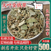 Guangxi wild money grass 500g Chinese herbal medicine big leaf money grass dried fossil kidney soaked in water dissolved stone tea