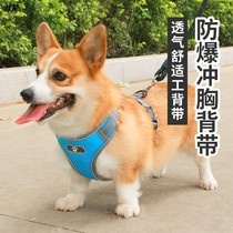 Dog chest strap leash vest strap vest bream medium dog pet supplies Corgi collar small dog