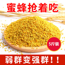 蜜蜂花粉养蜂喂蜂专用饲料天然蜂用油菜粉末颗粒中蜂蜂粮