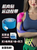 Reduce soreness hand tear ankle protection ligament widening non-performance muscle paste basketball dancing injury athlete