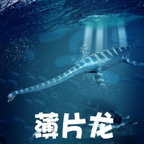 Lin Chang Childrens Marine Dinosaur Toys Thin Dragon Model Sheet Dragon Prehistoric Ancient Biology Behemoth Simulation Animal